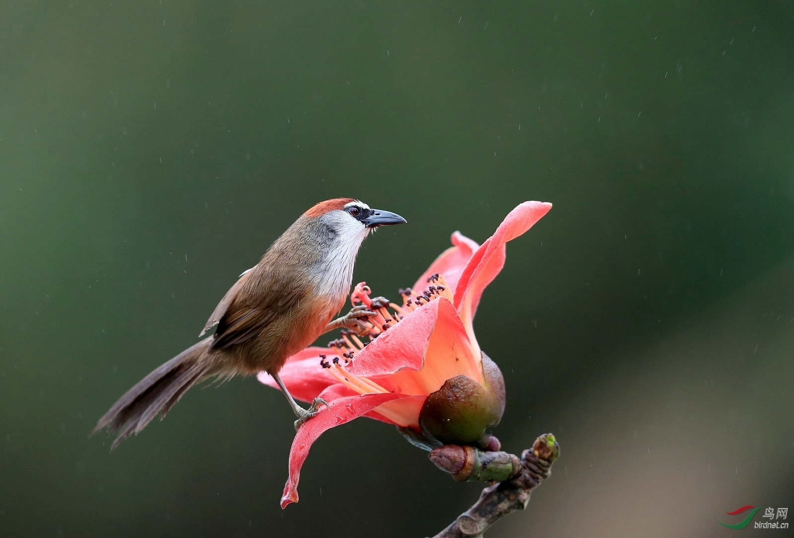 AI0I5767 - ����.JPG