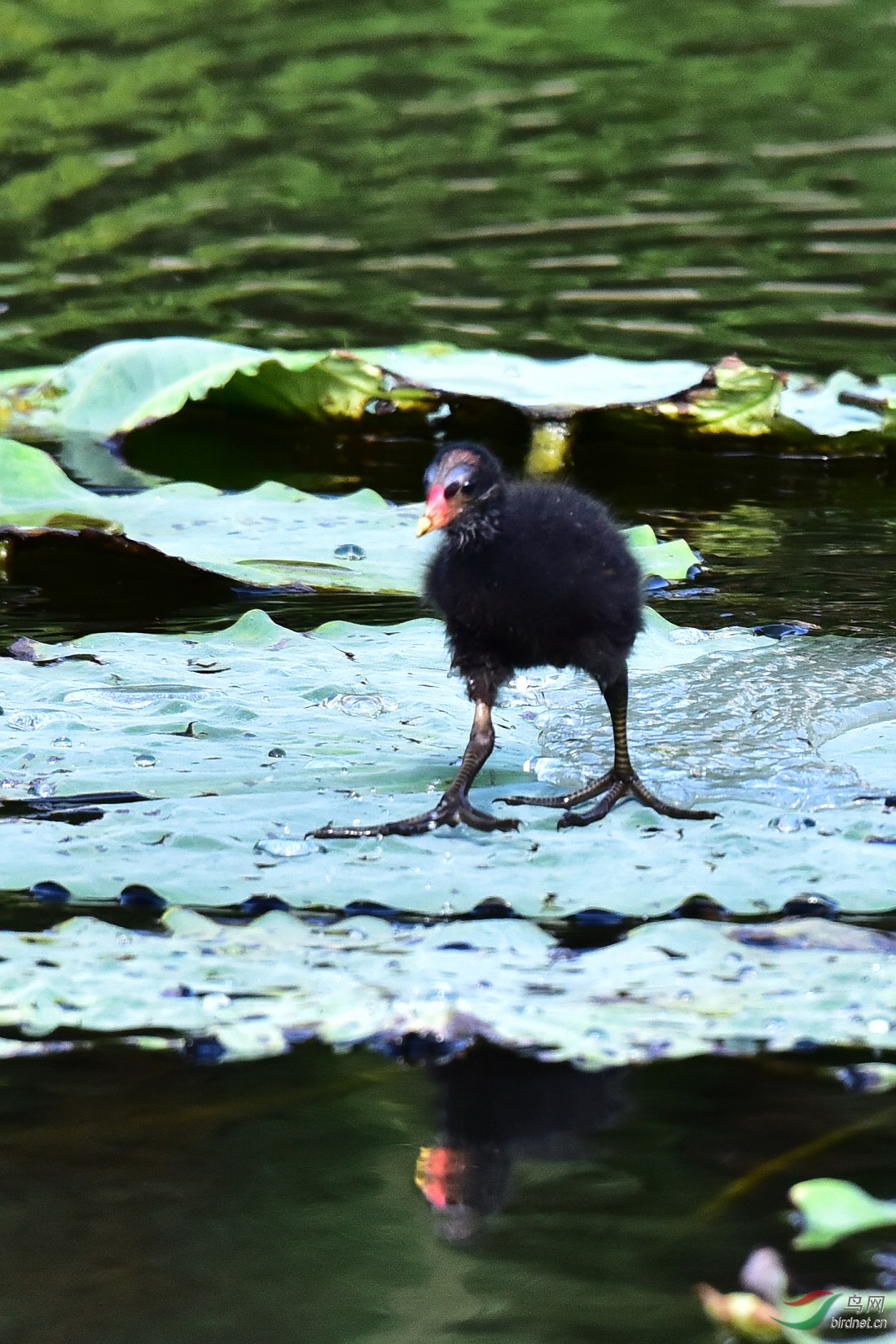 DSC_0874.JPG