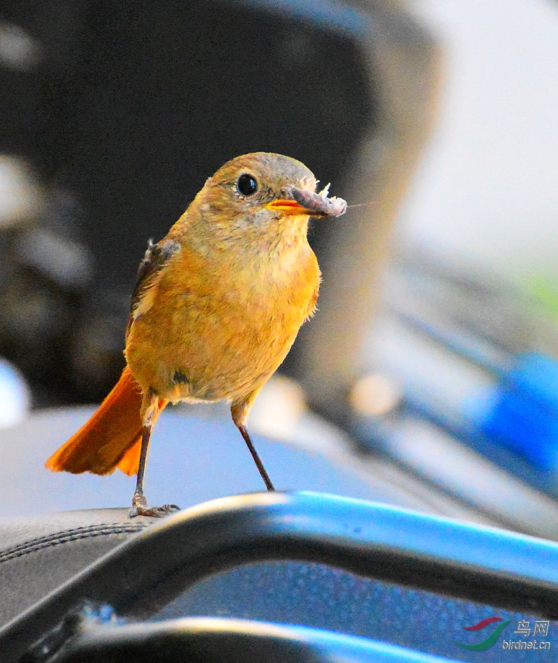 DSC_8421.JPG