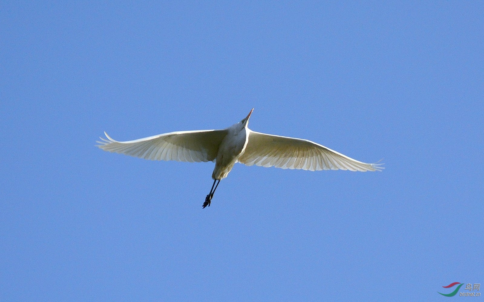 DSC_6231.JPG