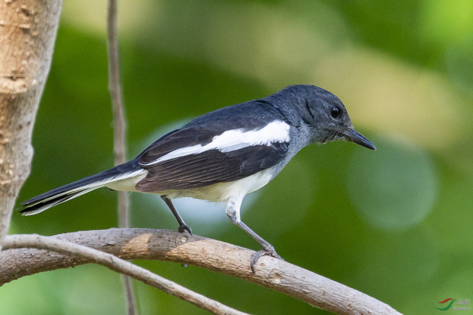 BL4E9833.jpg