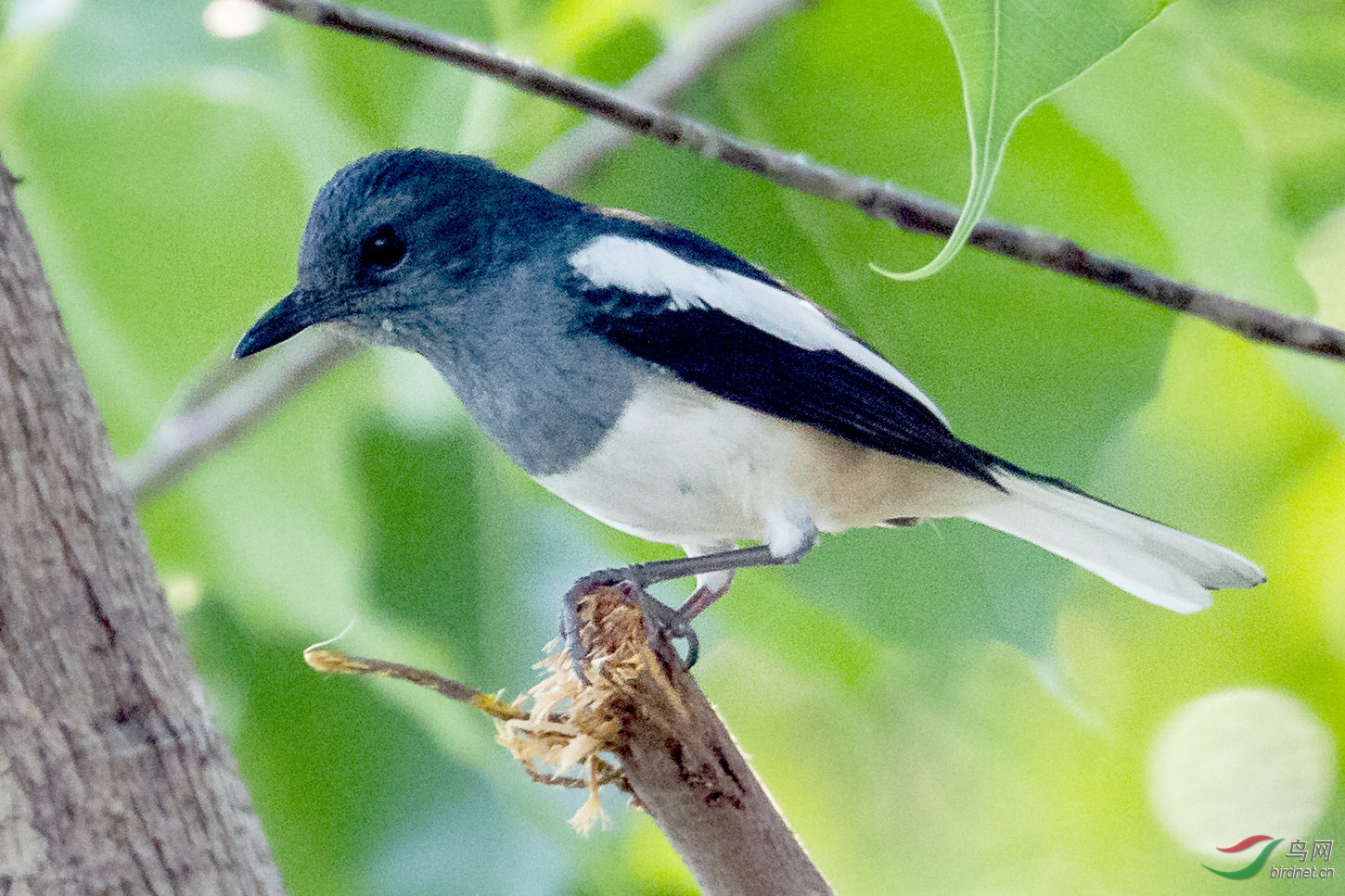 BL4E9806.jpg