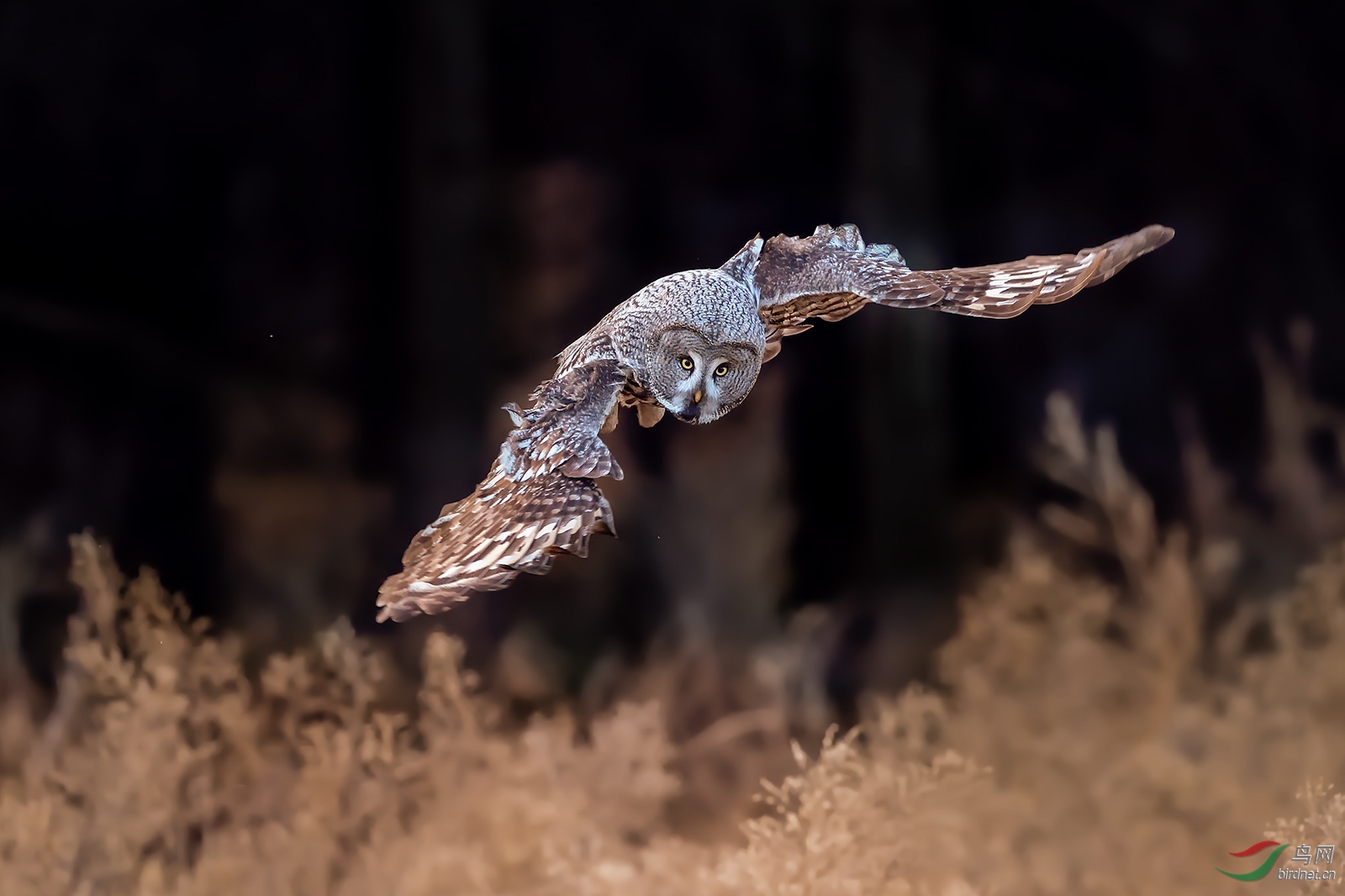 _DSC8188 ����.jpg