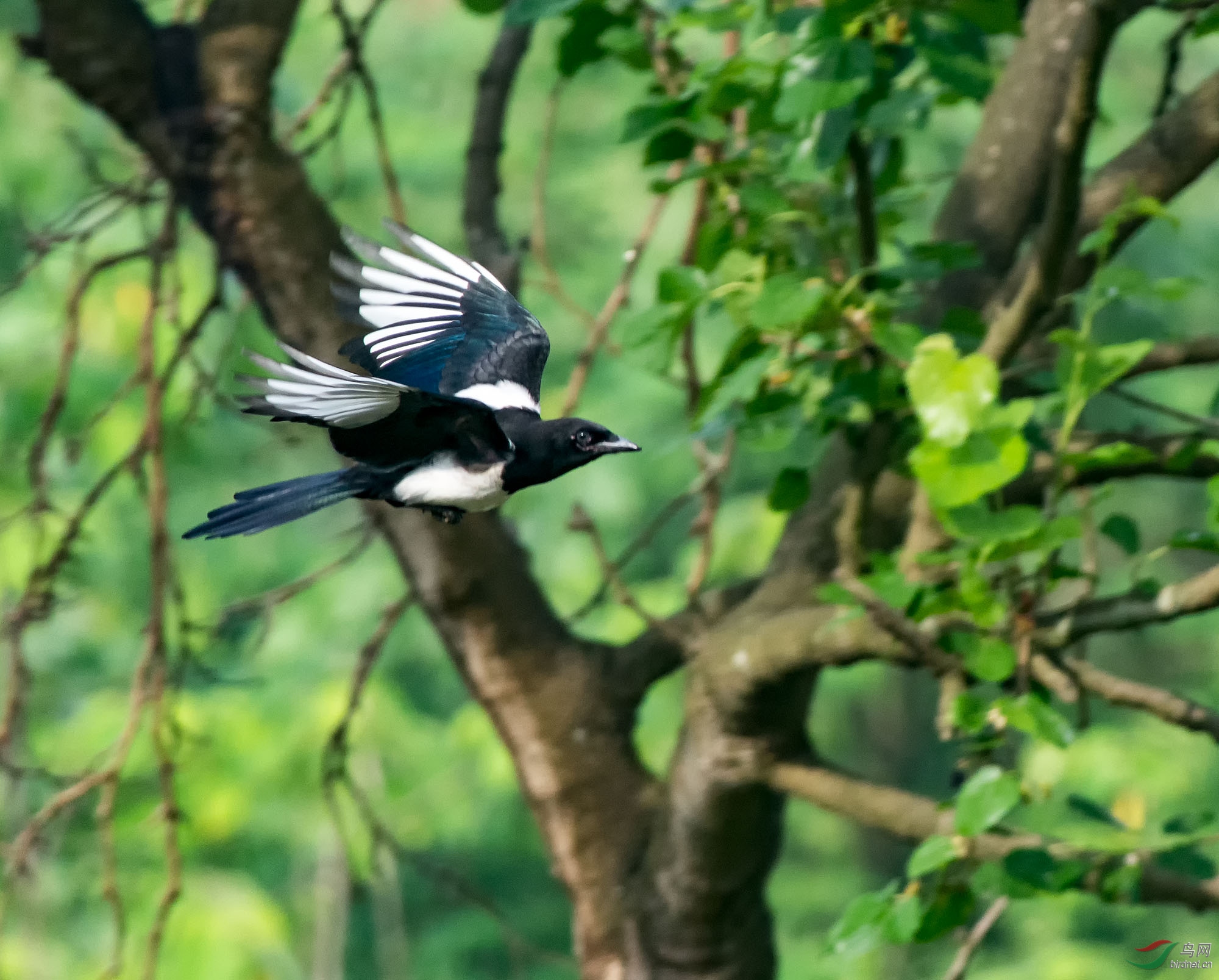 DSC_4883-1.jpg