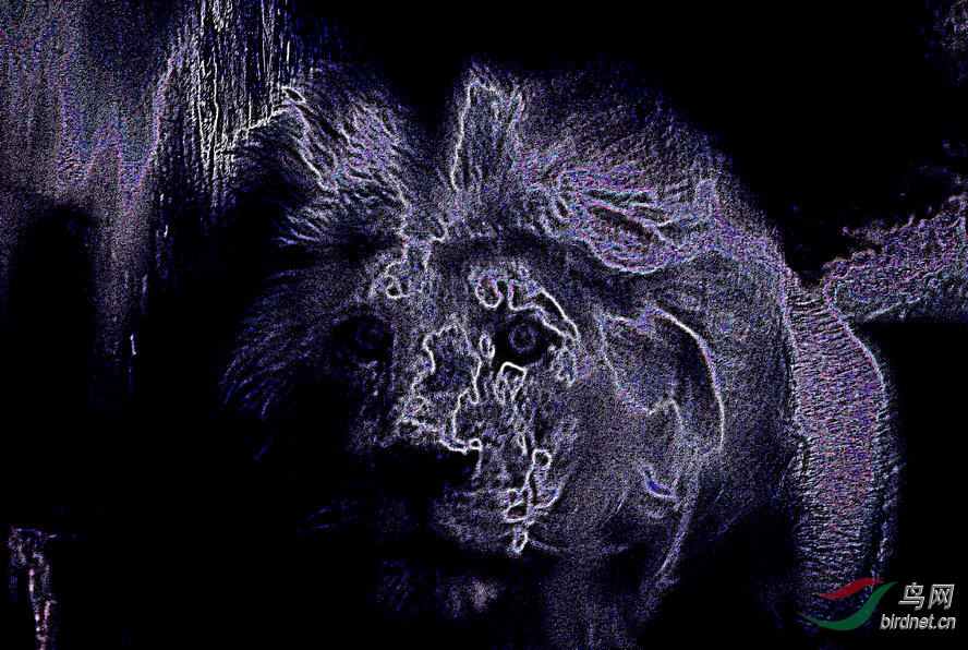 4K0A1146_����_����1_����.jpg
