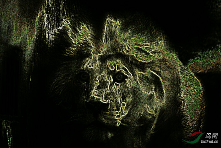 4K0A1146_����_����.jpg