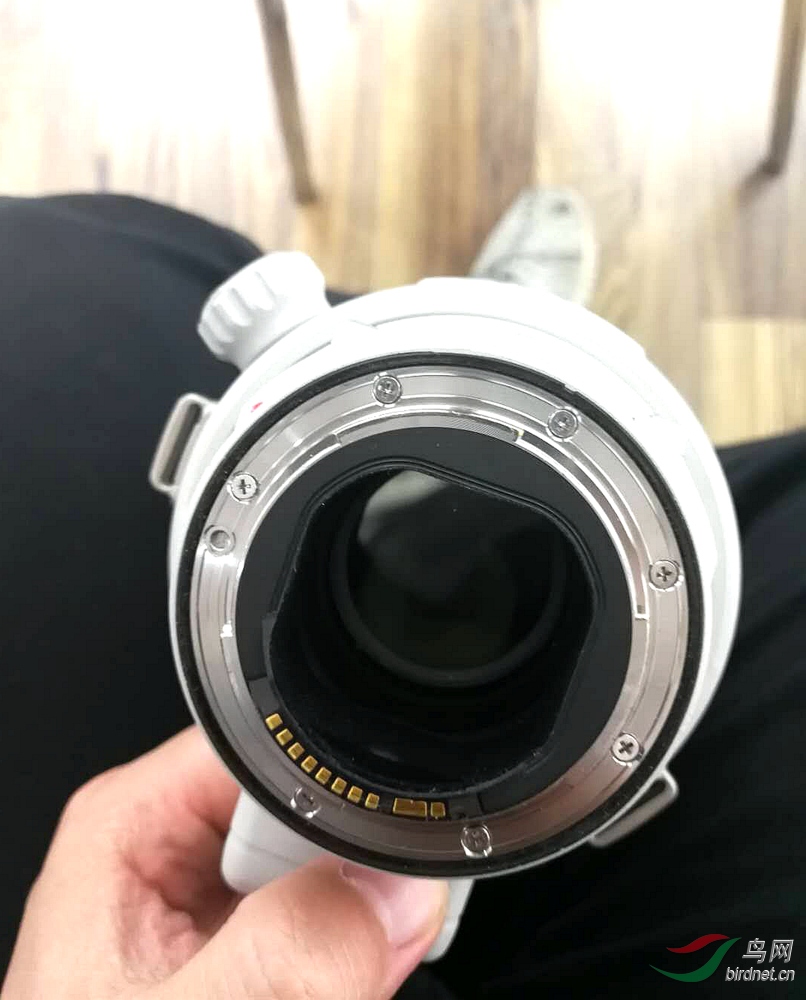 811911987.jpg