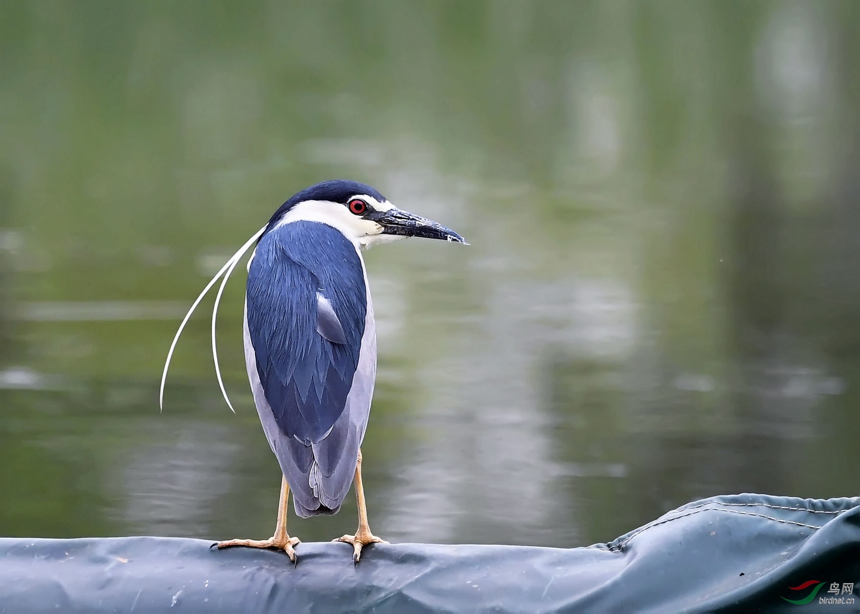 DSC_5705.jpg