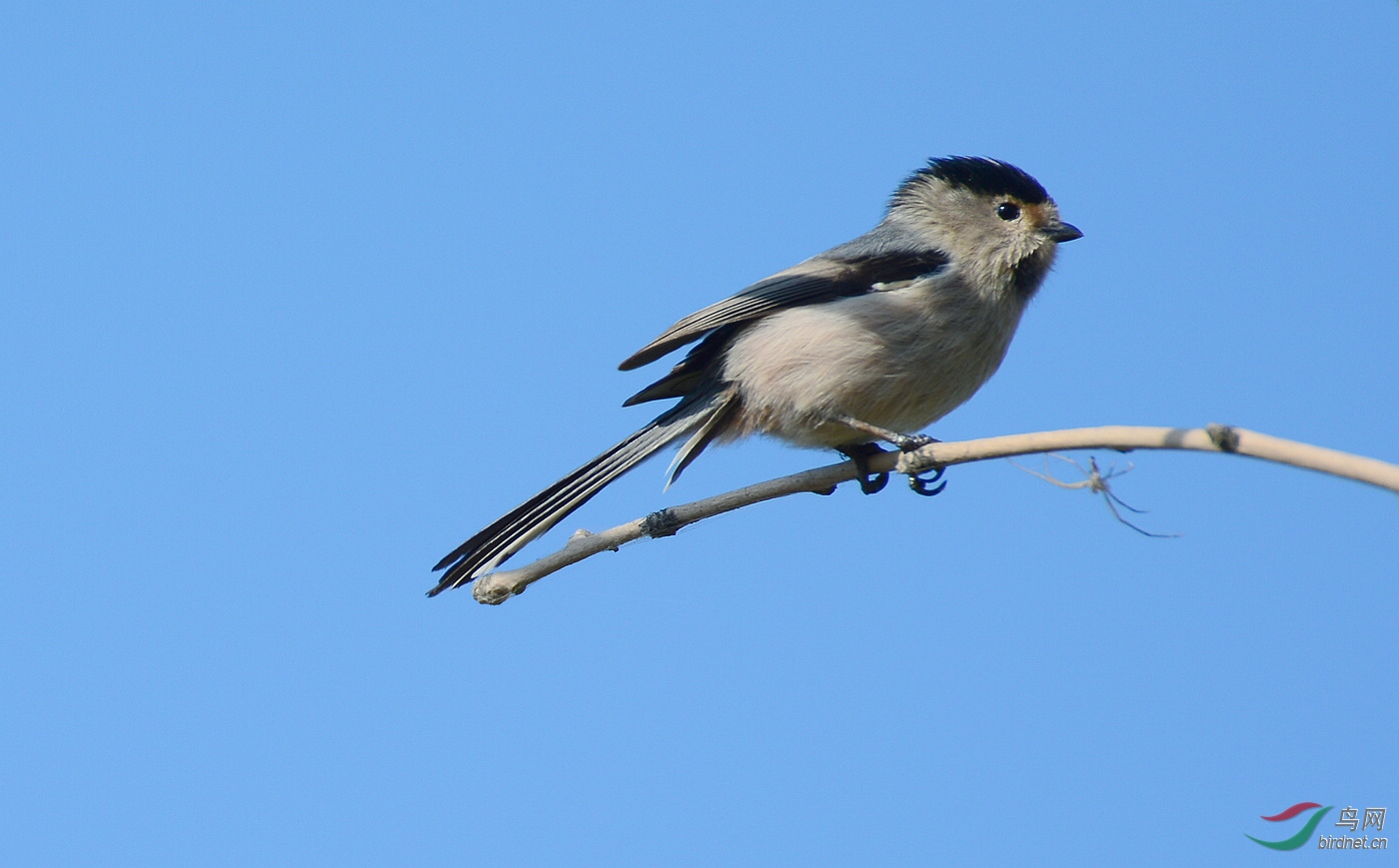 DSC_2936.JPG
