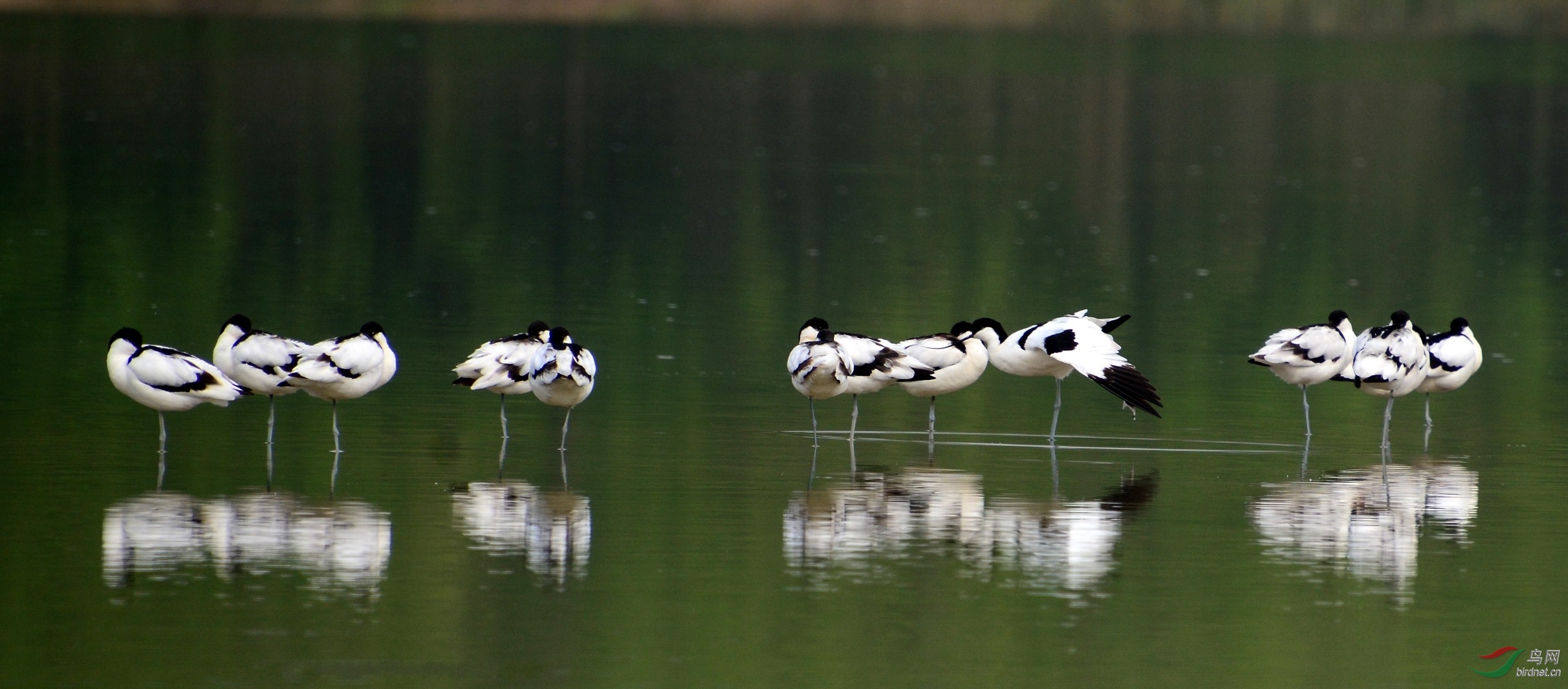 DSC_9111_conew1.jpg