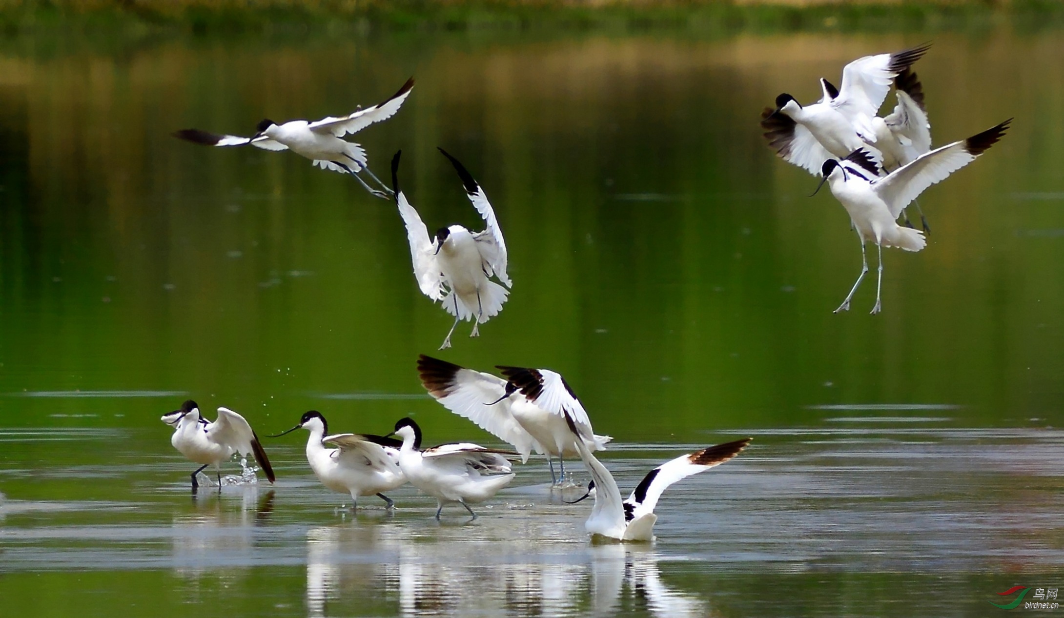 DSC_0109_conew2.jpg