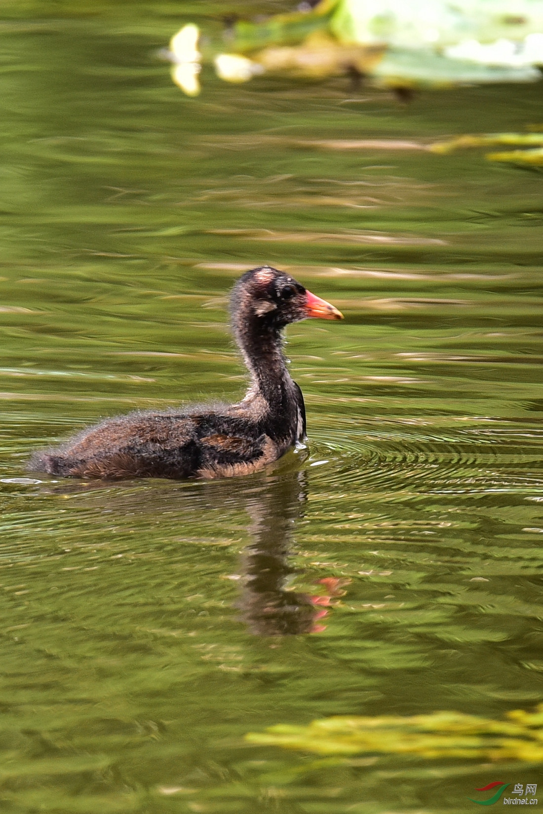 DSC_0884.JPG