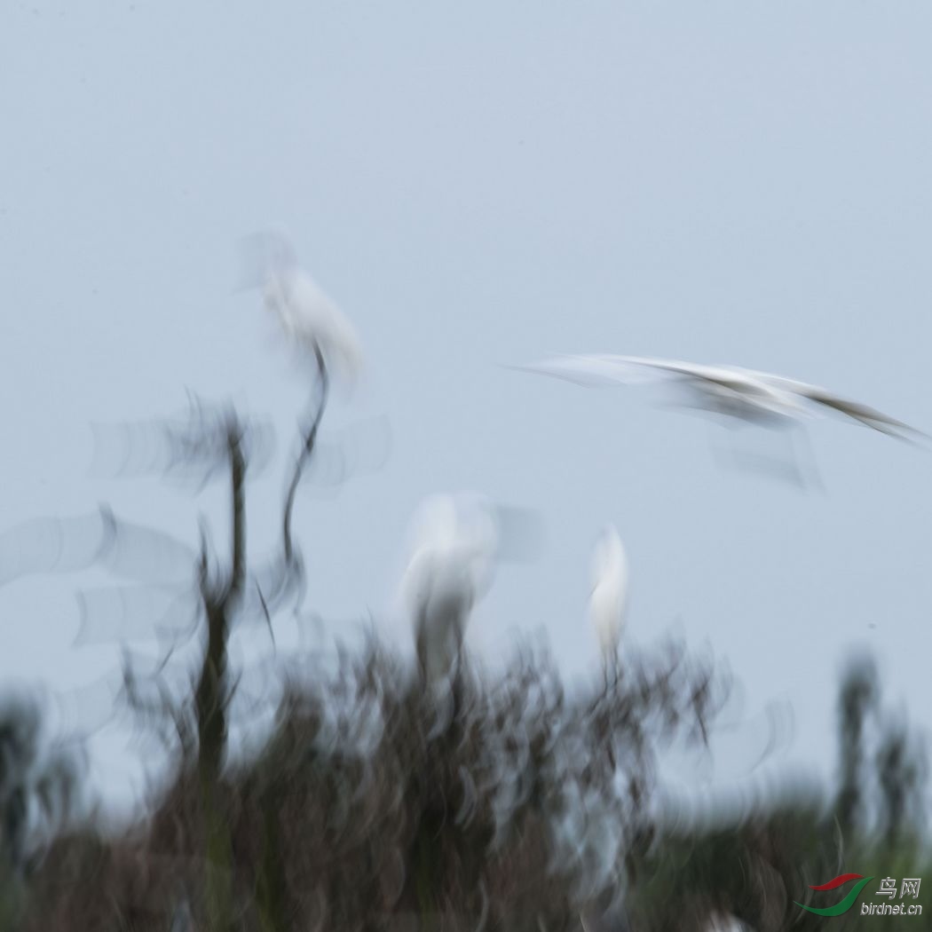 nEO_IMG_DSC_9646.jpg