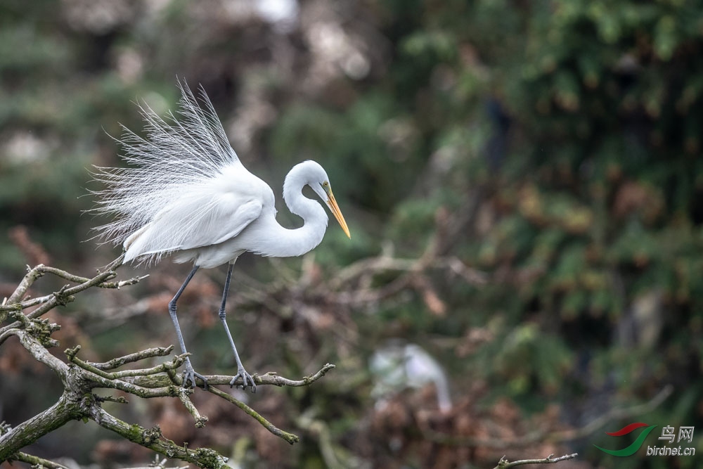 DSC_7890.JPG
