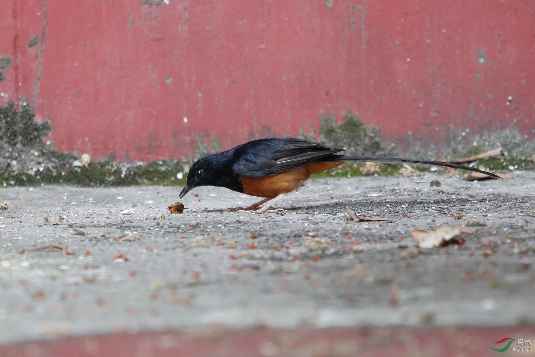 IMG_4480.JPG