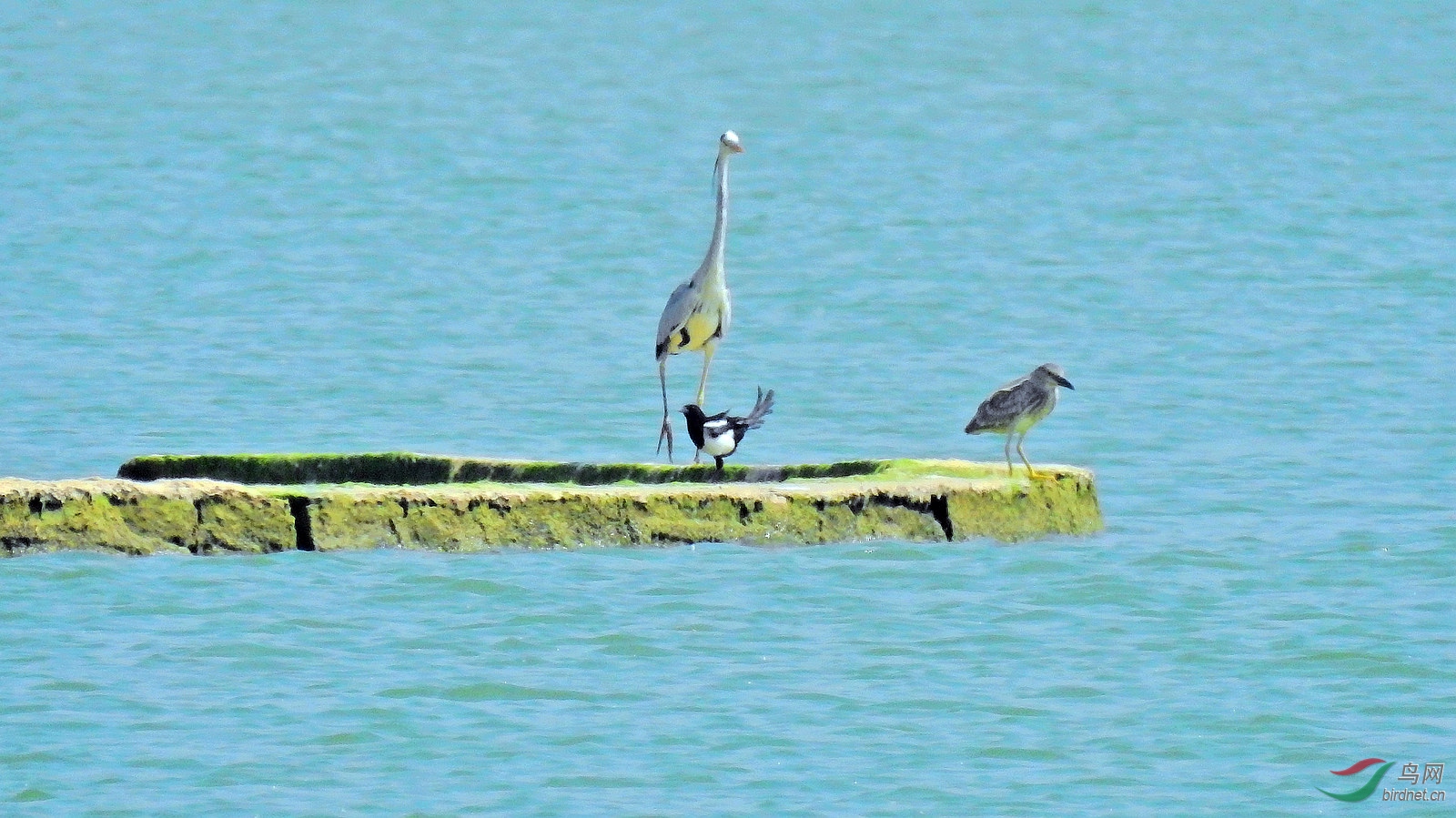 DSCN8514.JPG