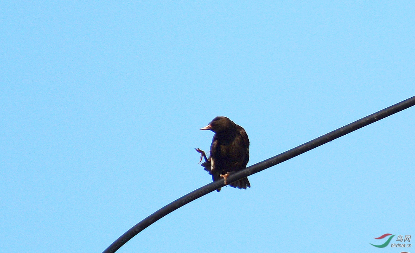 DSC_6886.JPG