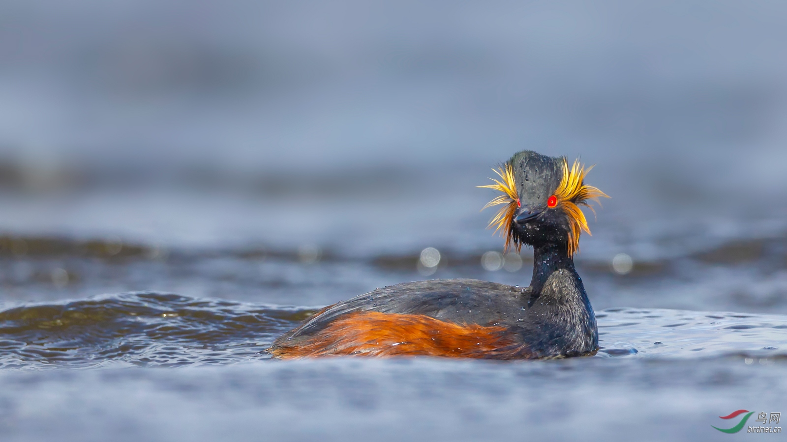 ��  B31W5713.jpg