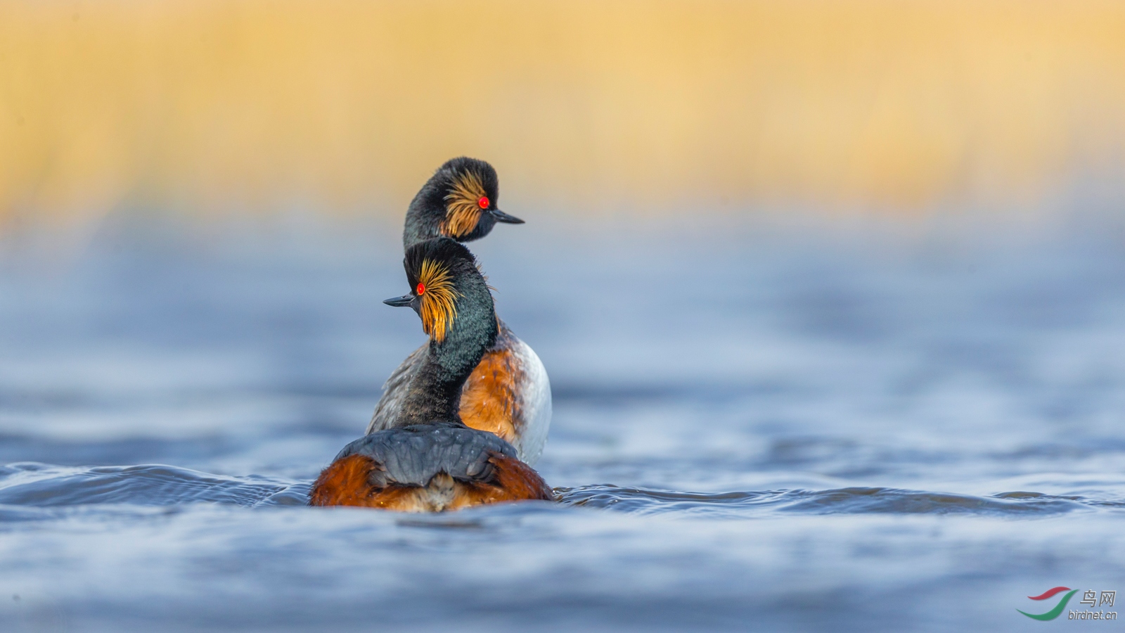 ��  B31W6149.jpg