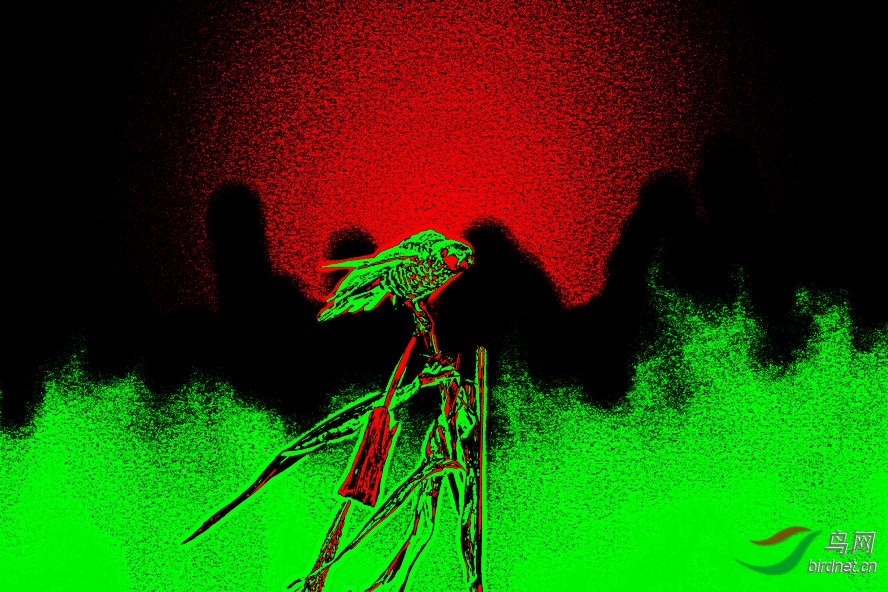 4K0A1306_����_����3_����1_����1_����.jpg