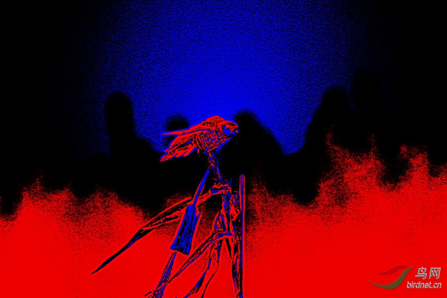 4K0A1306_����_����3_����.jpg