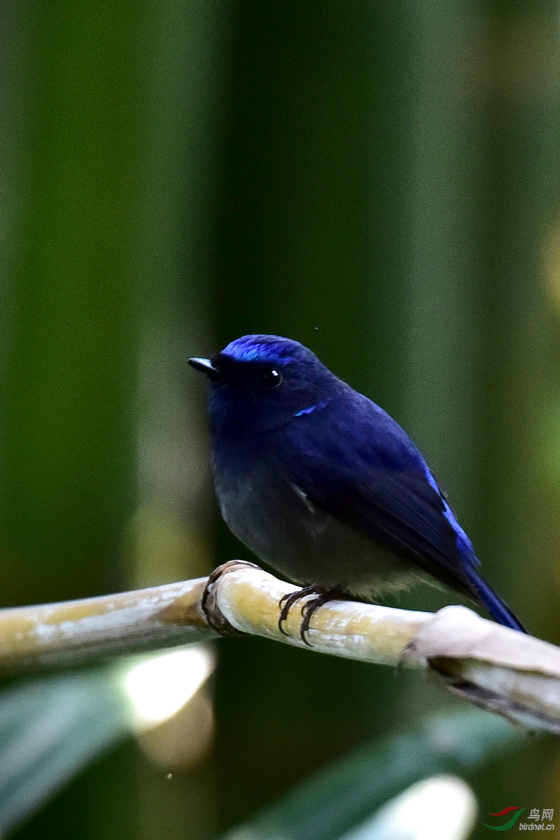 DSC_0486.JPG