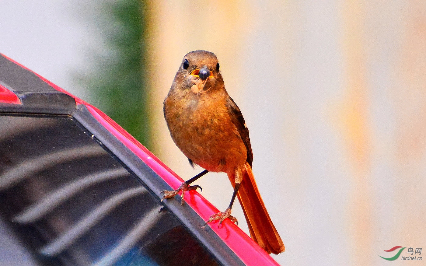 DSC_8154.JPG