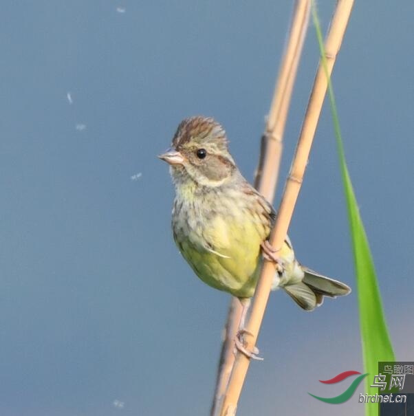 QQ��ͼ20190506192602.jpg