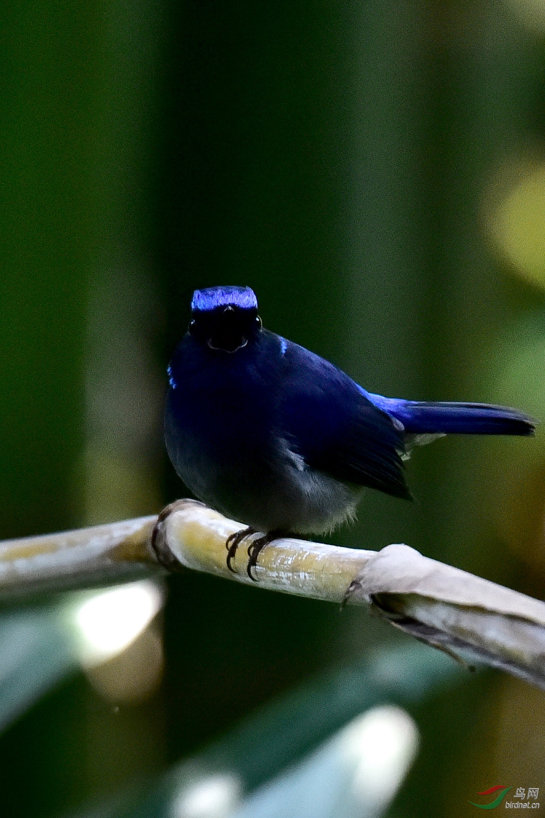 DSC_0489.JPG