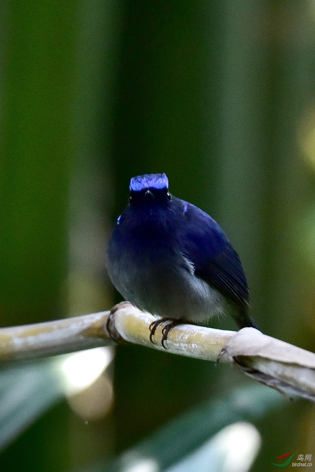 DSC_0495.JPG