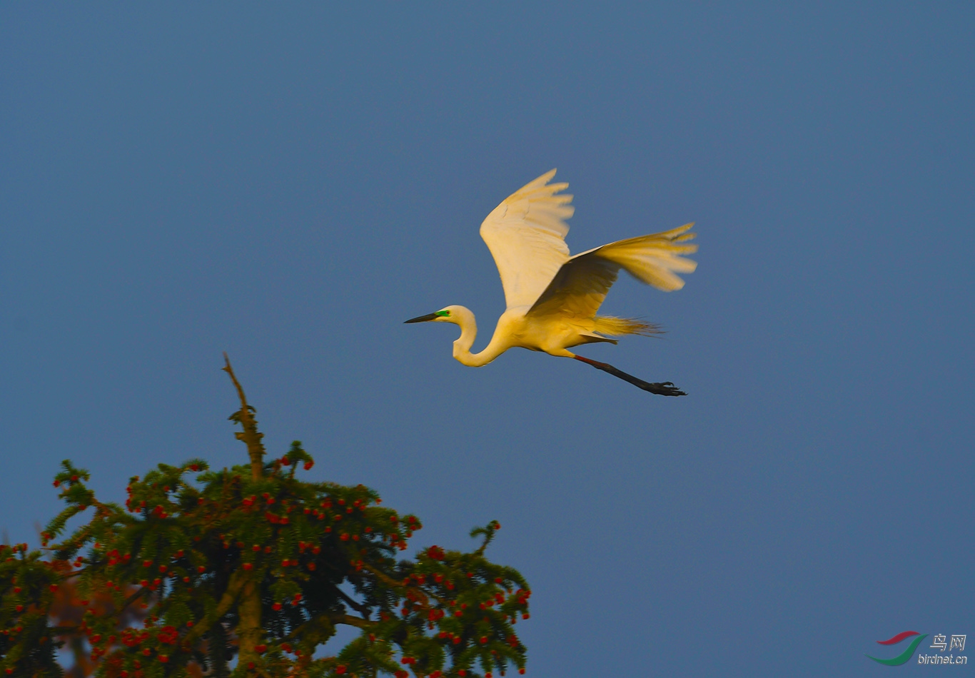 DSC_1742.JPG