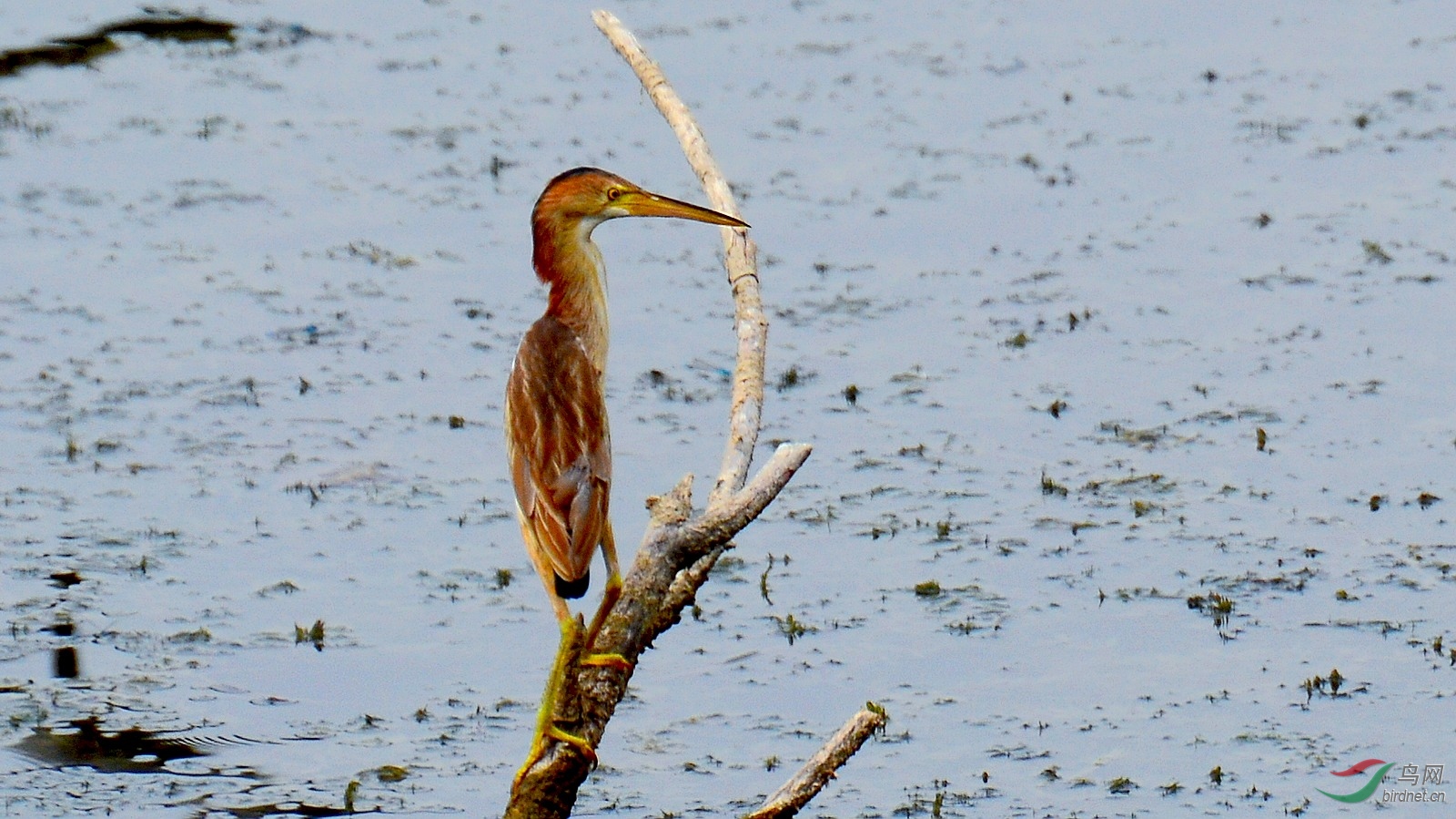 DSC_5796.JPG