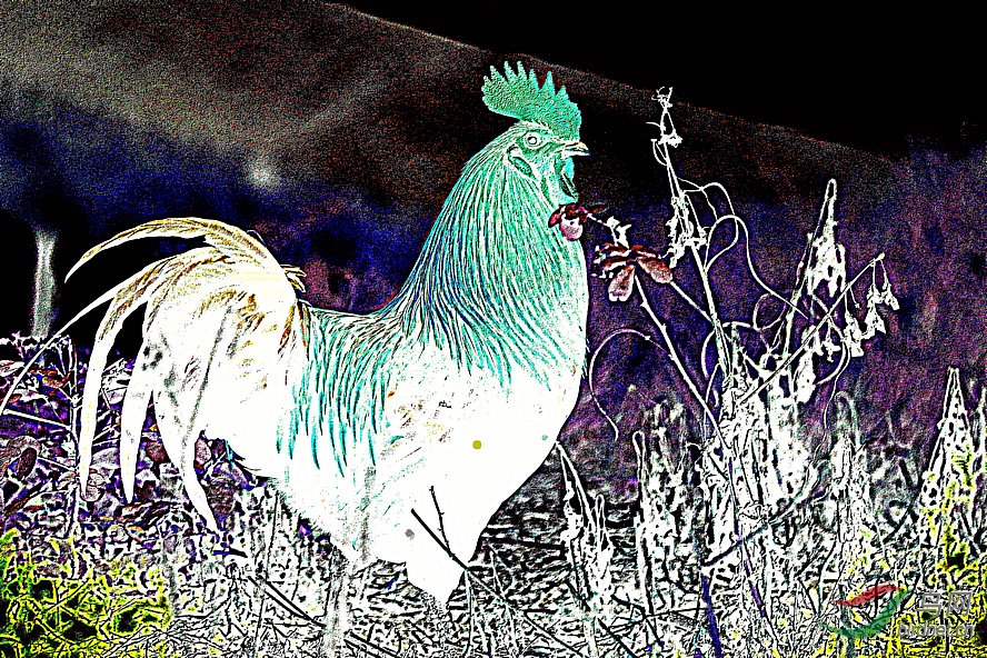 BW6I0893_����_����1_����.jpg