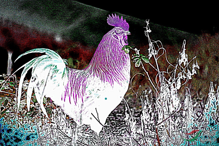 BW6I0893_����_����1_����1_����1_����.jpg