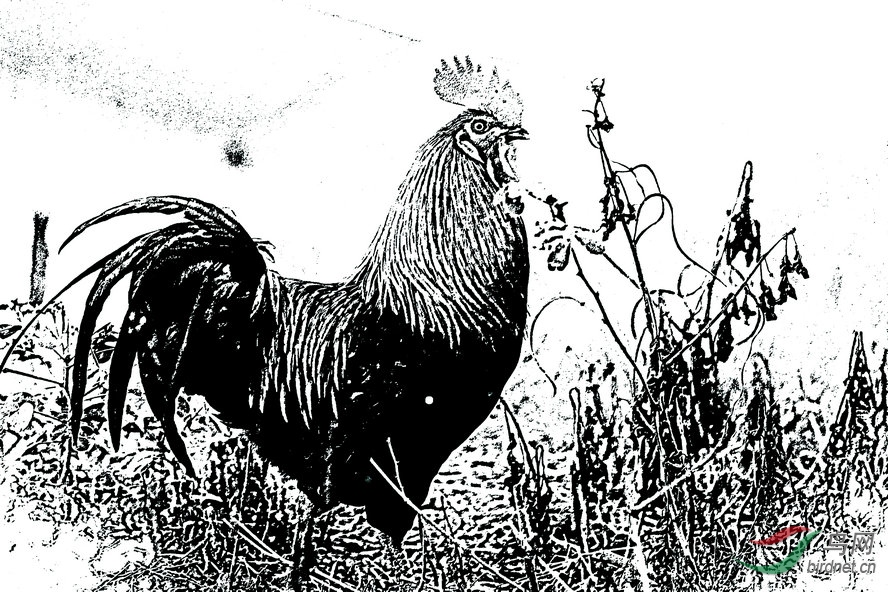 BW6I0893_����_����1_����1_����2_����_����1_����1_����1_����.jpg