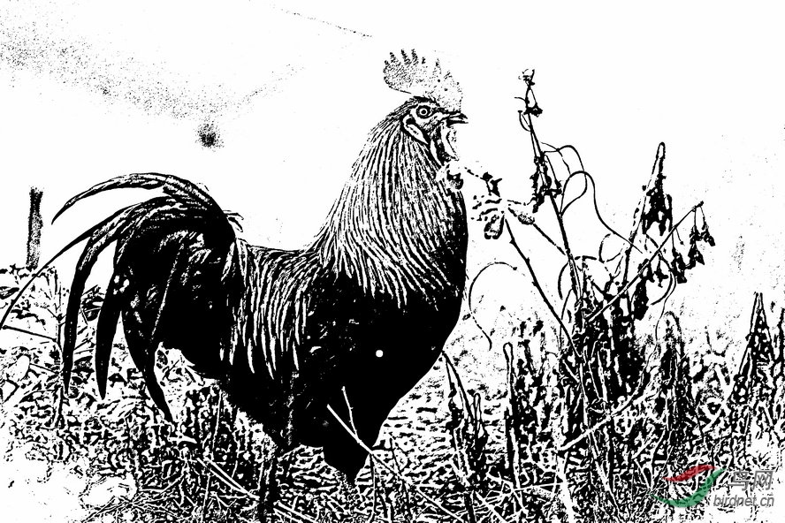BW6I0893_����_����1_����1_����2_����_����1_����1_����.jpg