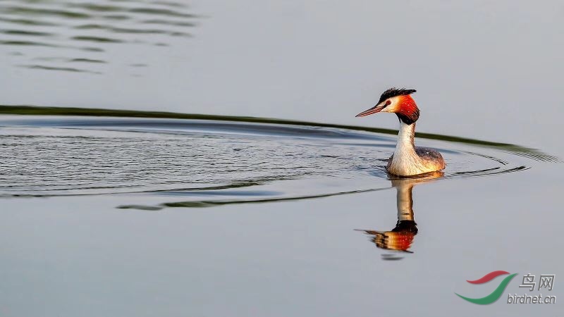 _2019012115201083 (43).jpg