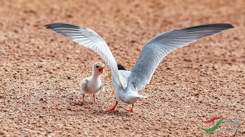 _2019012115201083 (47).jpg