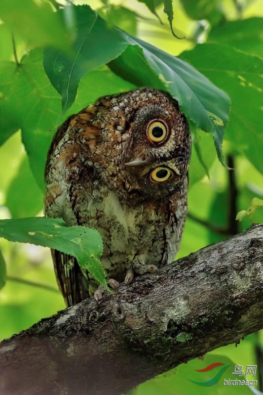 _2019012115201083 (48).jpg