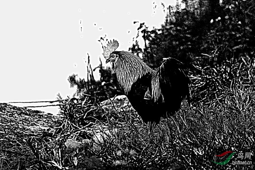 BW6I0904_����_����1_����1_����1_����.jpg