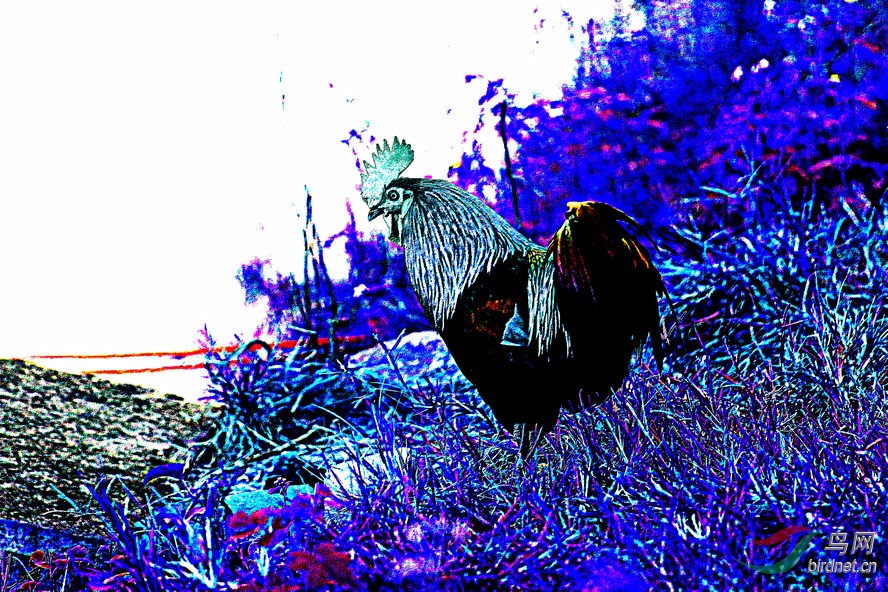 BW6I0904_����_����1_����.jpg
