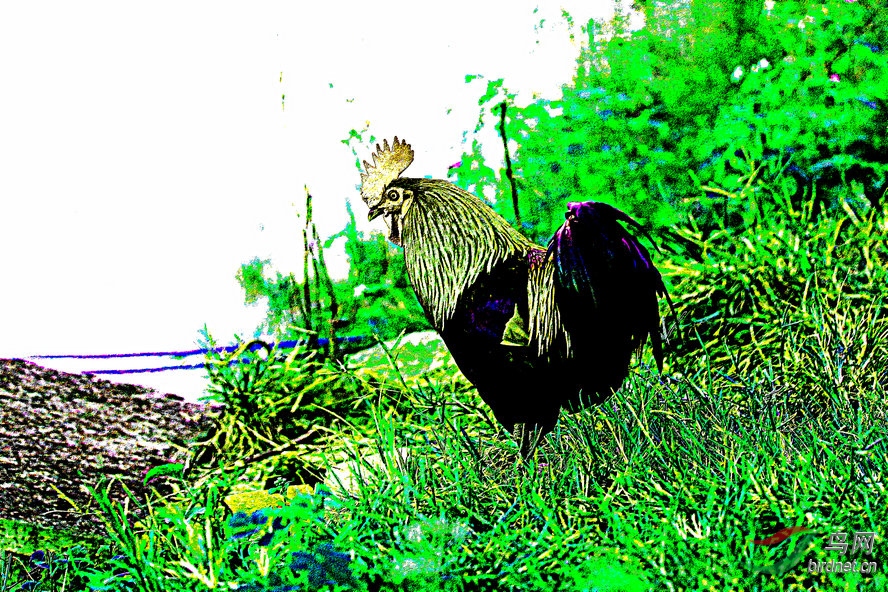 BW6I0904_����_����1_����1_����_����1_����.jpg