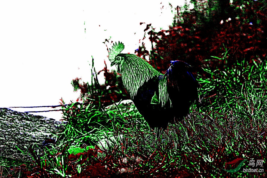 BW6I0904_����_����1_����1_����_����1_����1_����.jpg