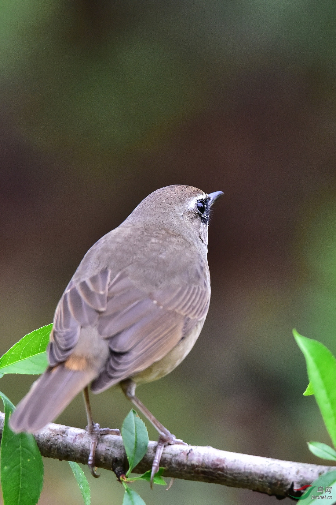 DSC_0504.JPG