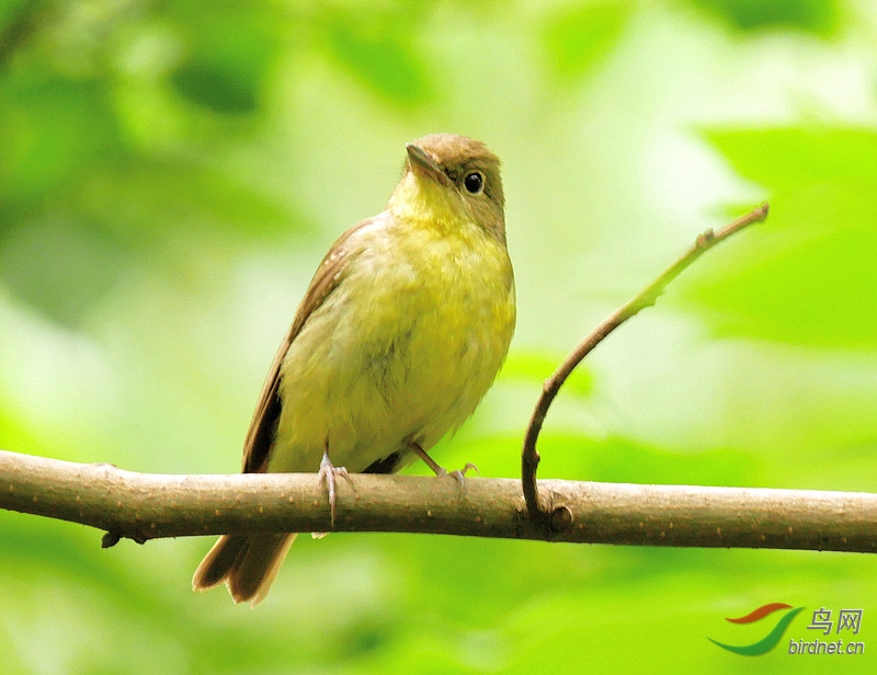 P2360621 - ����.JPG