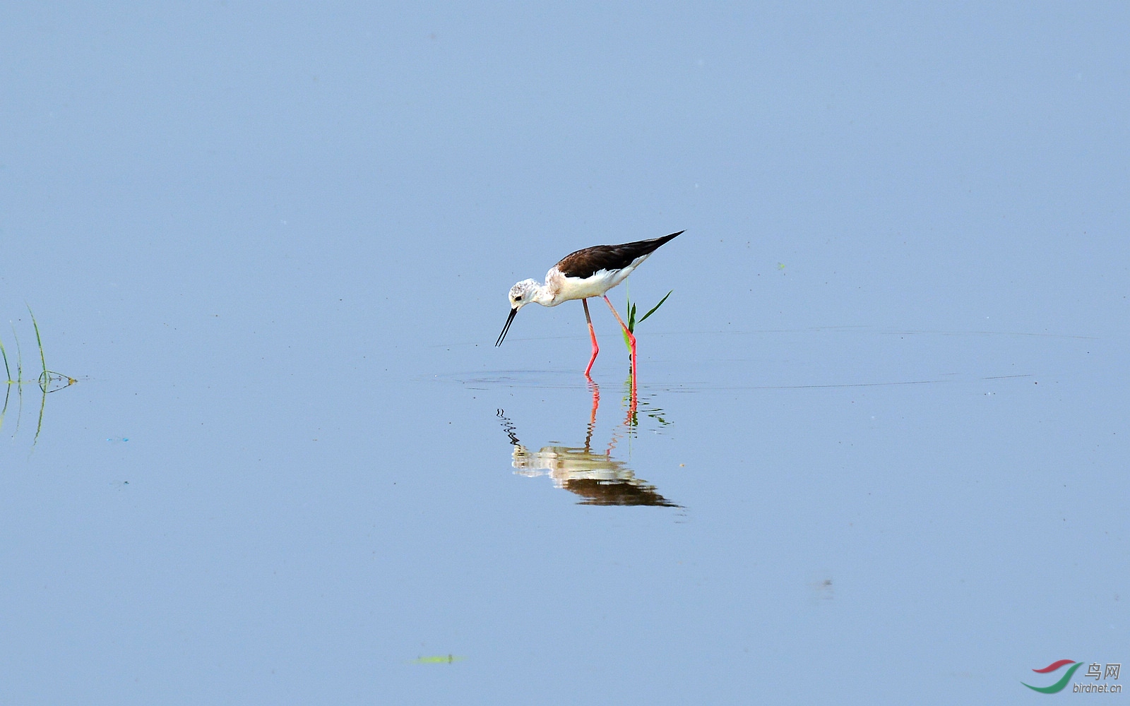 DSC_0444.JPG