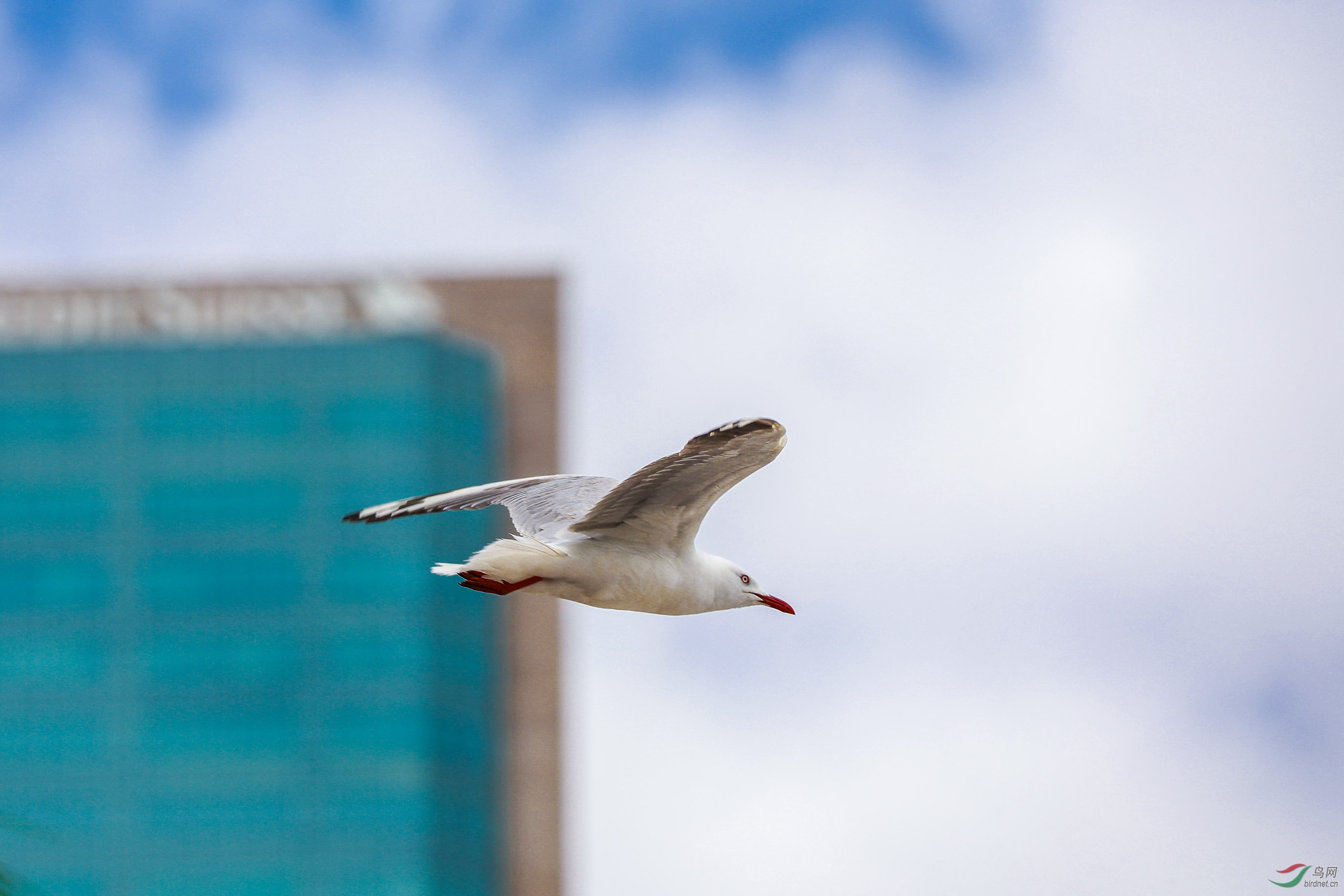 Picture 42091008.jpg