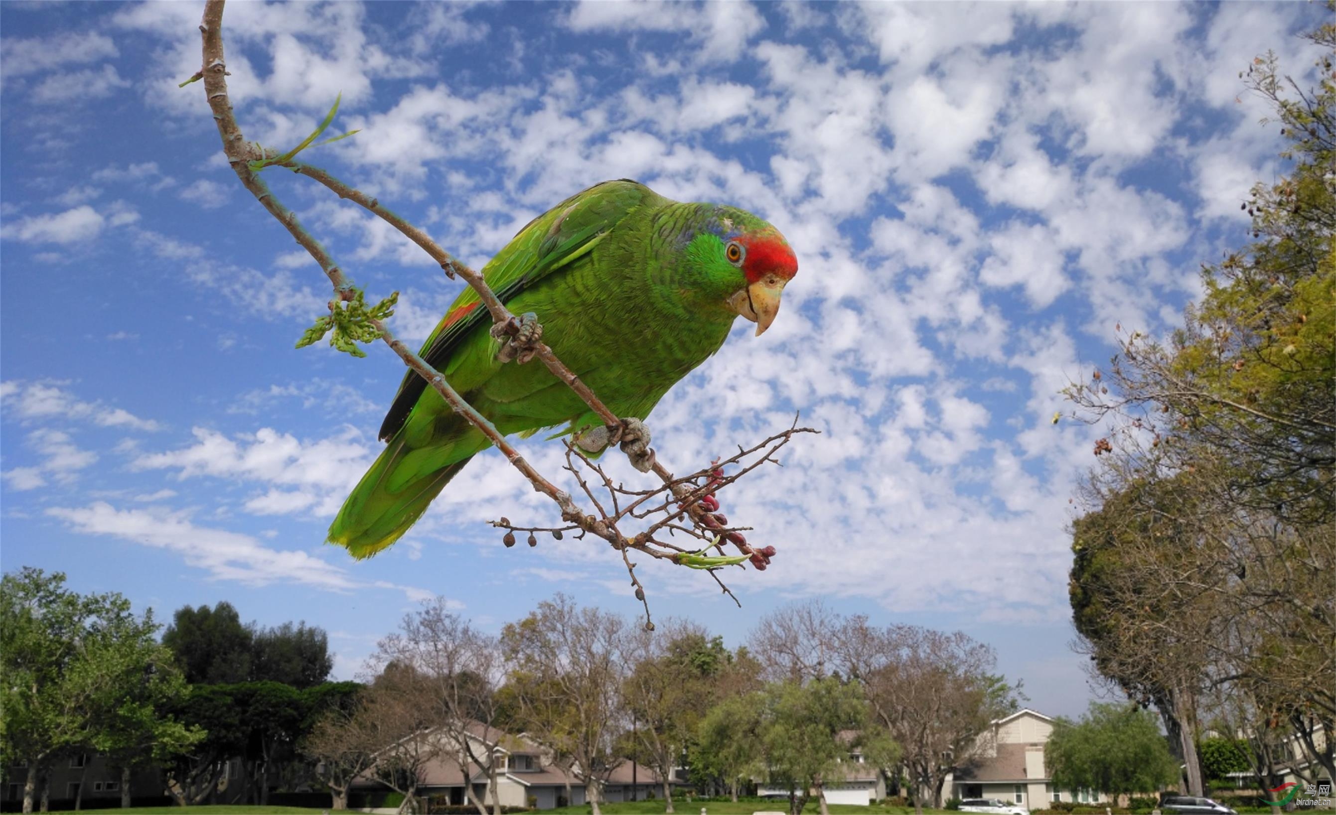 20190417004905_0R9A5716-01.jpeg