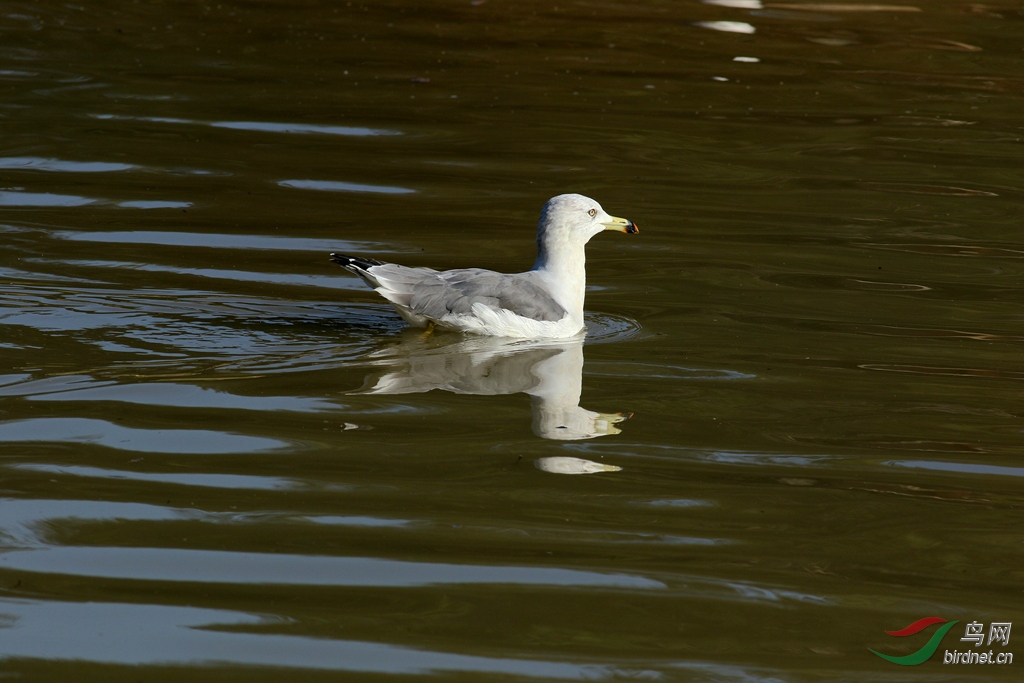 367A8624_����.jpg