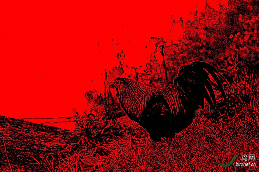 BW6I0905_����_����1_����1_����1_����1_����1_����1_����1_����_����.jpg